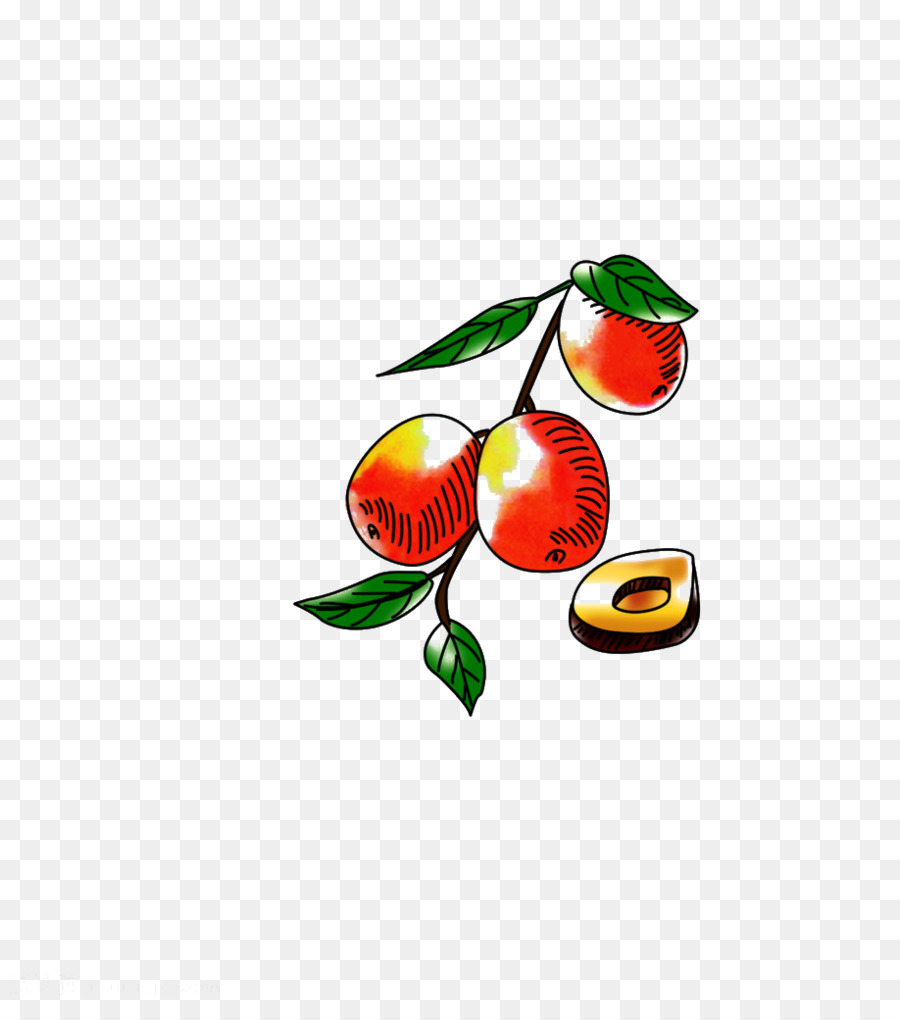 Jujube，La Fruta PNG