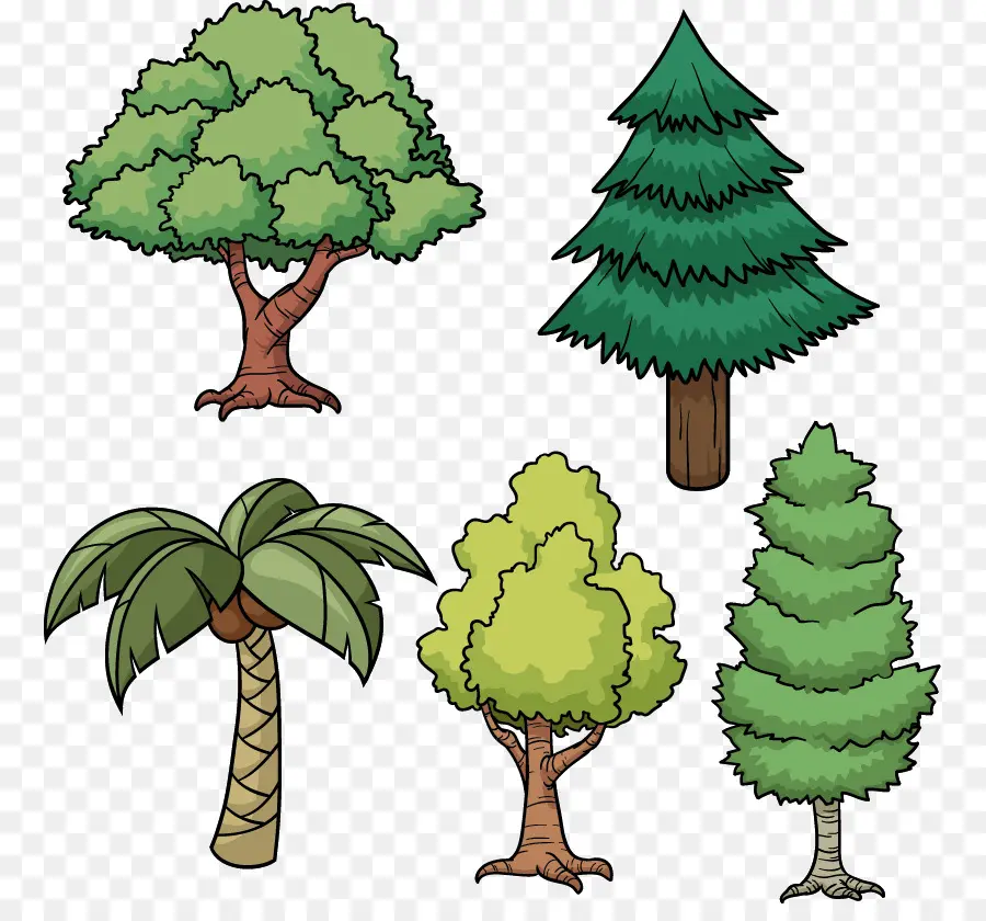 árbol，Dibujo PNG