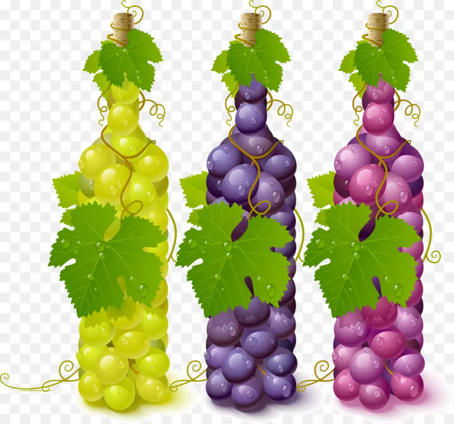 Común De La Uva De La Vid，Vino PNG