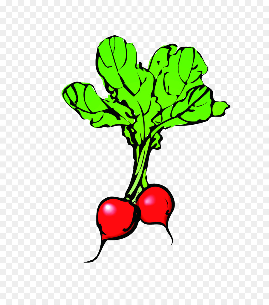 Zanahoria，La Fruta PNG