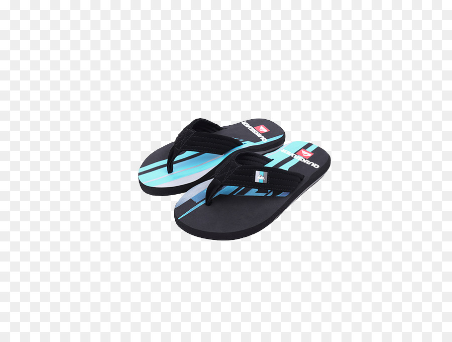 Flipflops，Zapatilla PNG