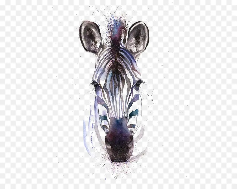 Pintura A La Acuarela，Zebra PNG