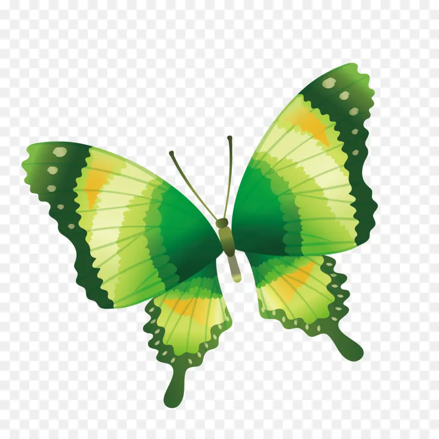 Mariposa，Verde PNG