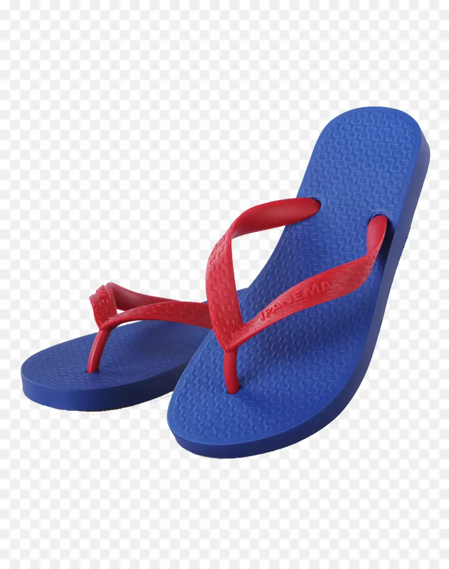 Flipflops，Zapatilla PNG