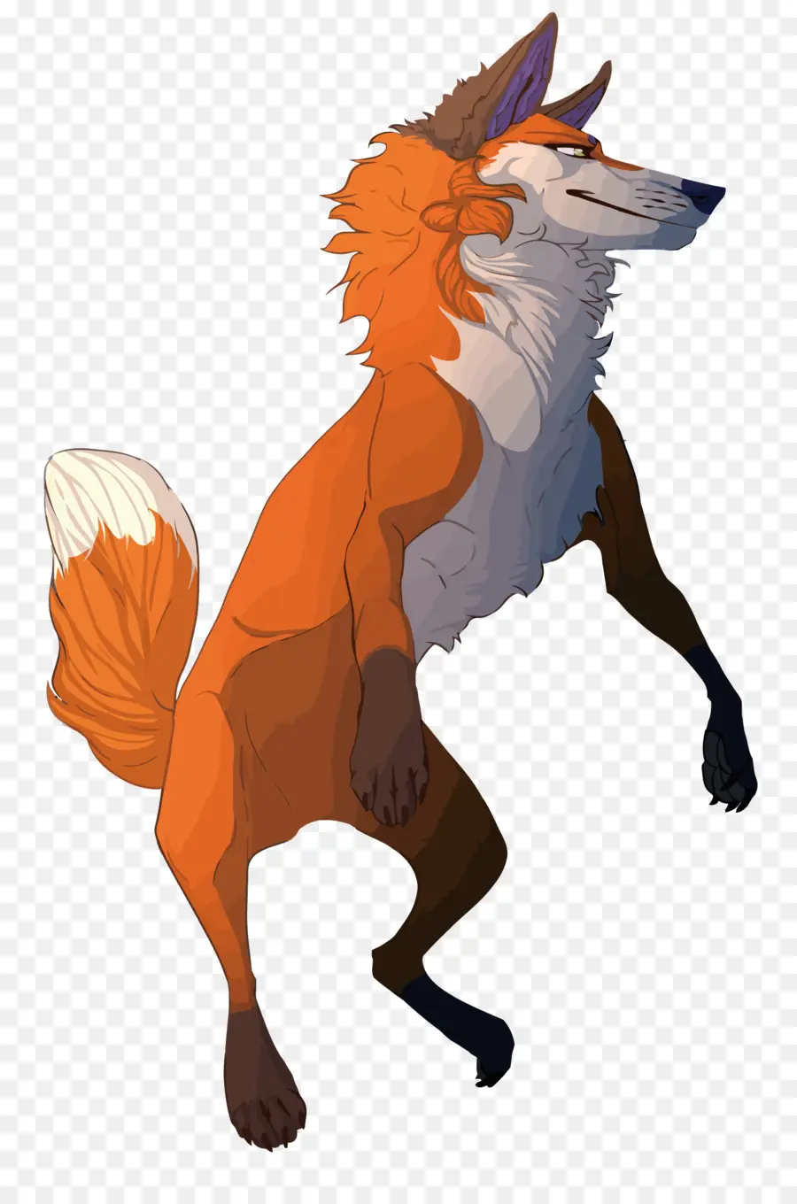 Canidae，De Dibujos Animados PNG