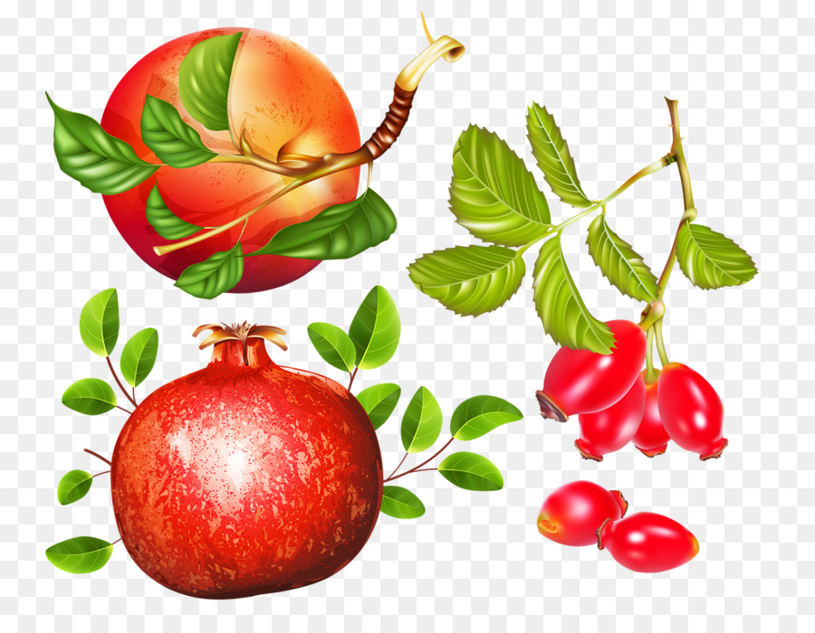 Manzana Roja，Rosa Mosqueta PNG