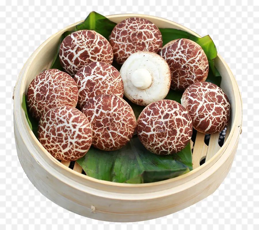 Cha Siu Bao，Baozi PNG