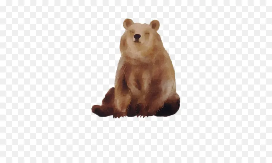 Oso，Oso Polar PNG