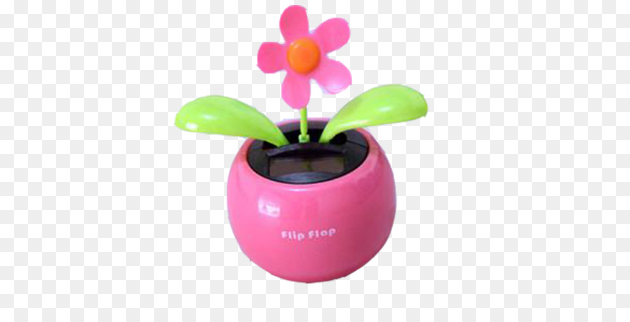 Diseñador，Flor PNG