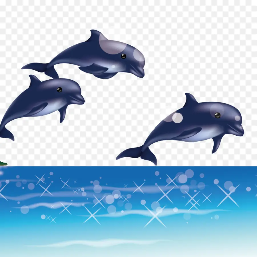 Delfines，Océano PNG