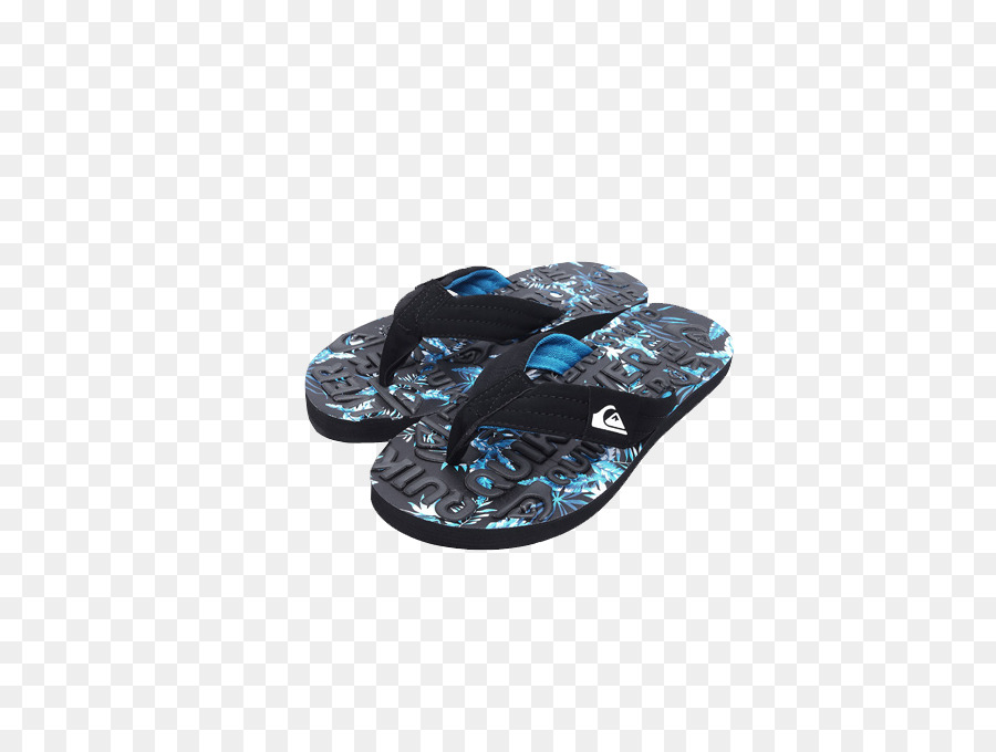 Flipflops，Zapatilla PNG