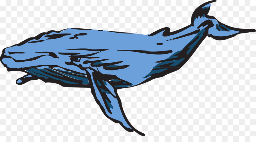 Las Ballenas Francas，La Ballena Azul PNG