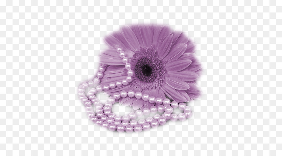 Flor Morada Y Perlas，Perlas PNG