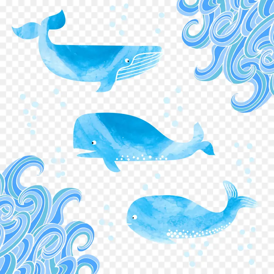 De Mamíferos Marinos，Ballena PNG