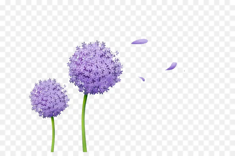 Flores Moradas，Tallos PNG