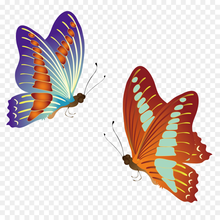 Mariposa，Camiseta PNG