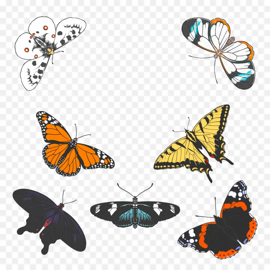 Mariposas，Vistoso PNG