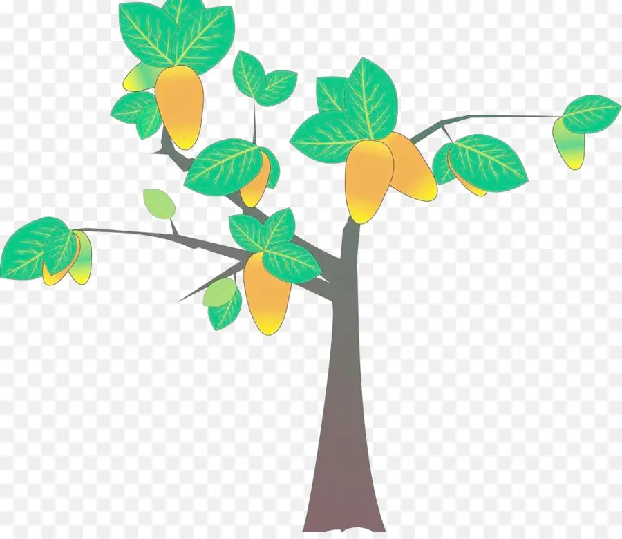 árbol De Mango，Fruta PNG