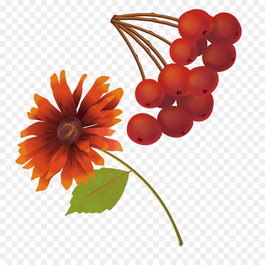 Auglis，La Fruta PNG