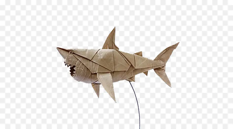 Tiburón，Papel PNG