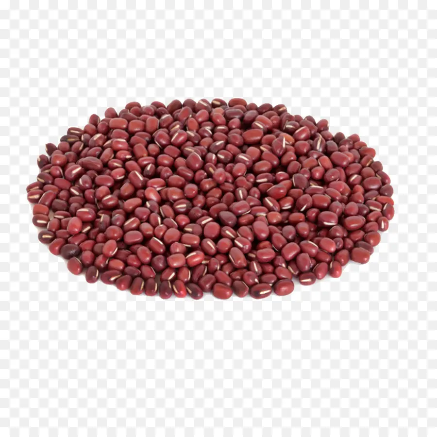 El Frijol Común，Adzuki Bean PNG