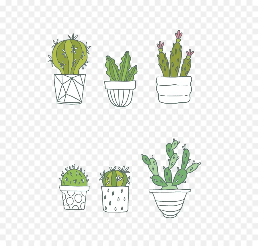 Cactaceae，Planta Suculenta PNG