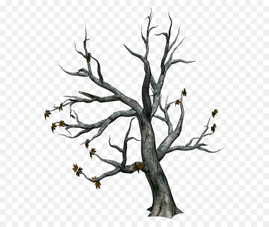 árbol，Tronco PNG