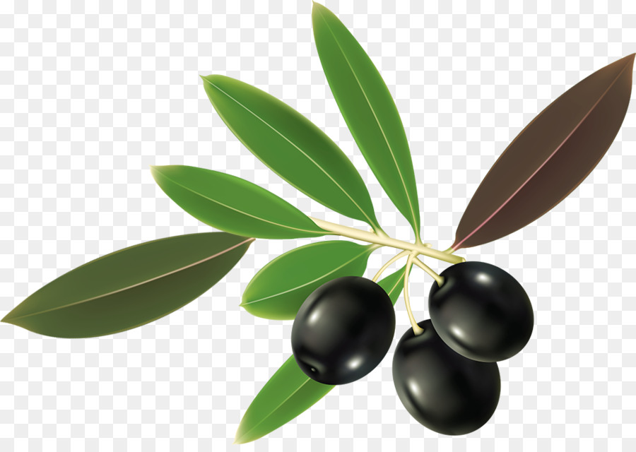 Aceitunas Negras，Rama PNG