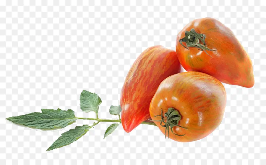 El Tomate San Marzano，Cocina Italiana PNG