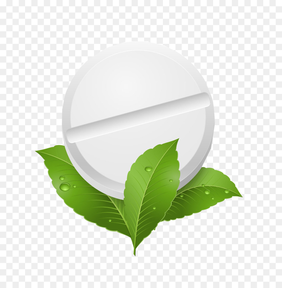 Menta，Hierba PNG