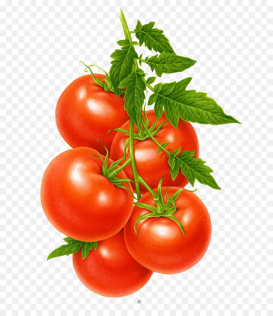 Jugo，El Jugo De Tomate PNG