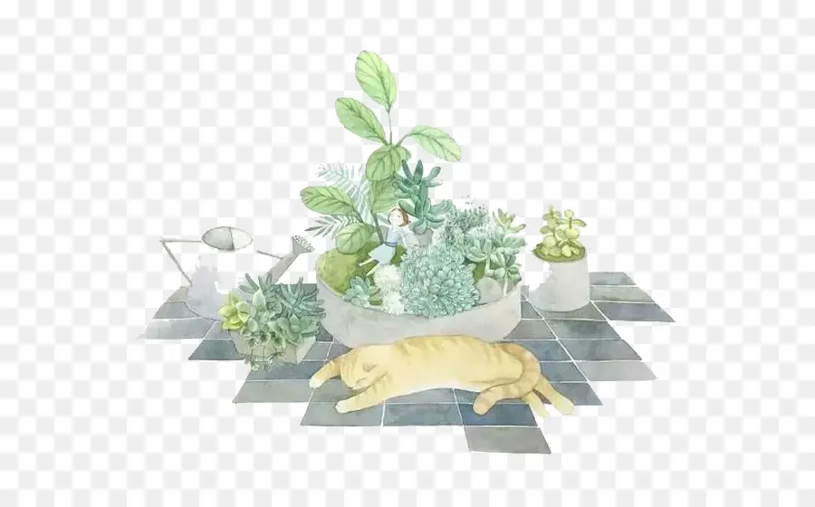 Plantas Y Gato，Plantas PNG