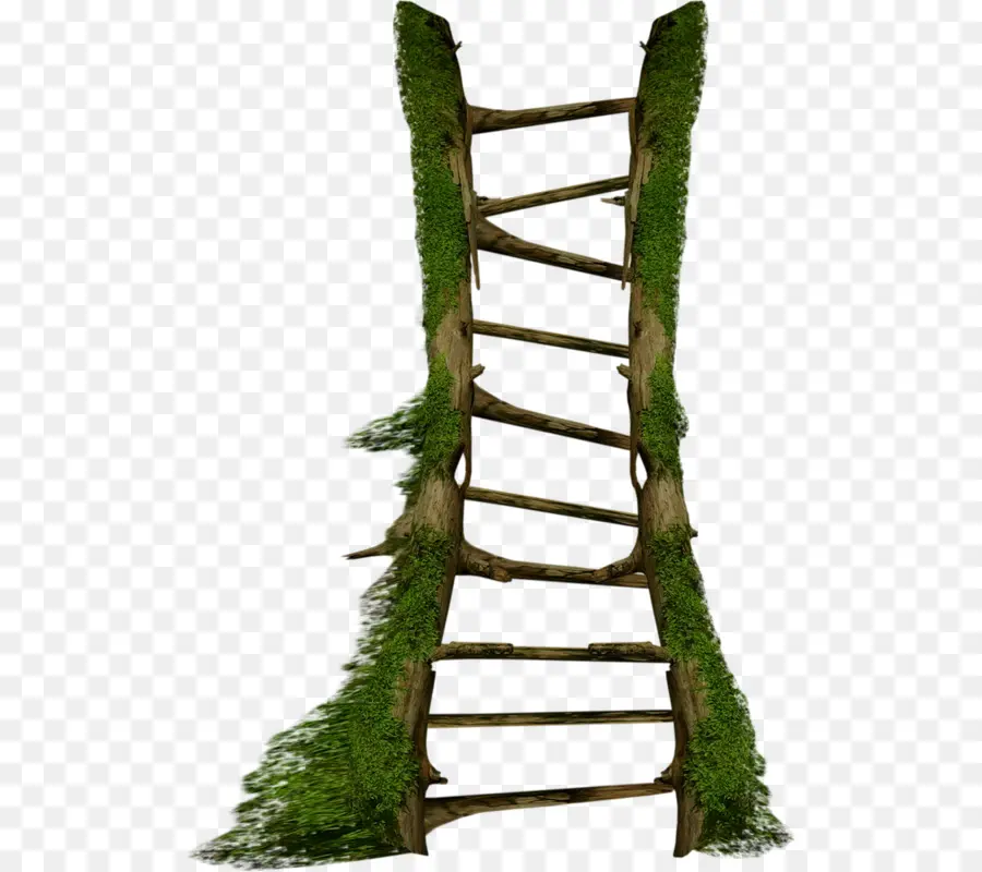 Escaleras，Escalera PNG