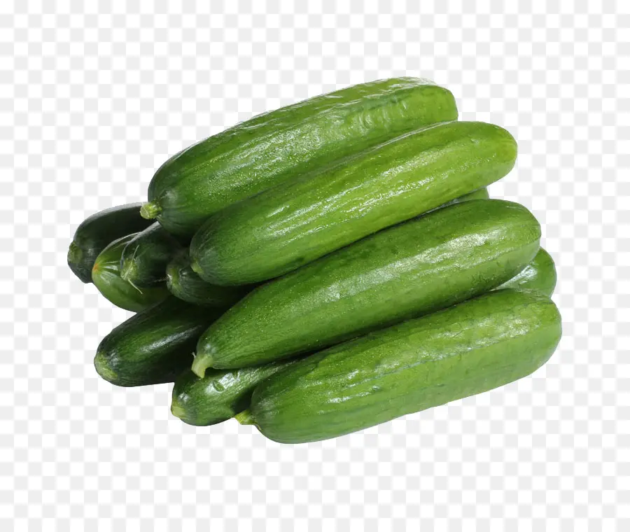 Pepino，Pepino Encurtido PNG