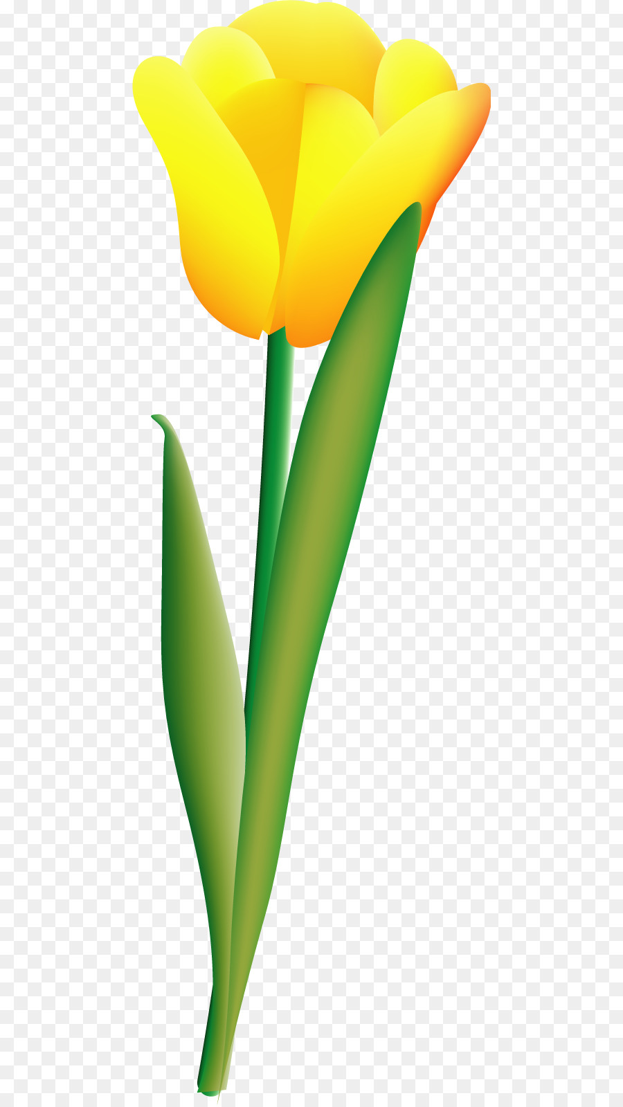 Tulip，Postscript Encapsulado PNG