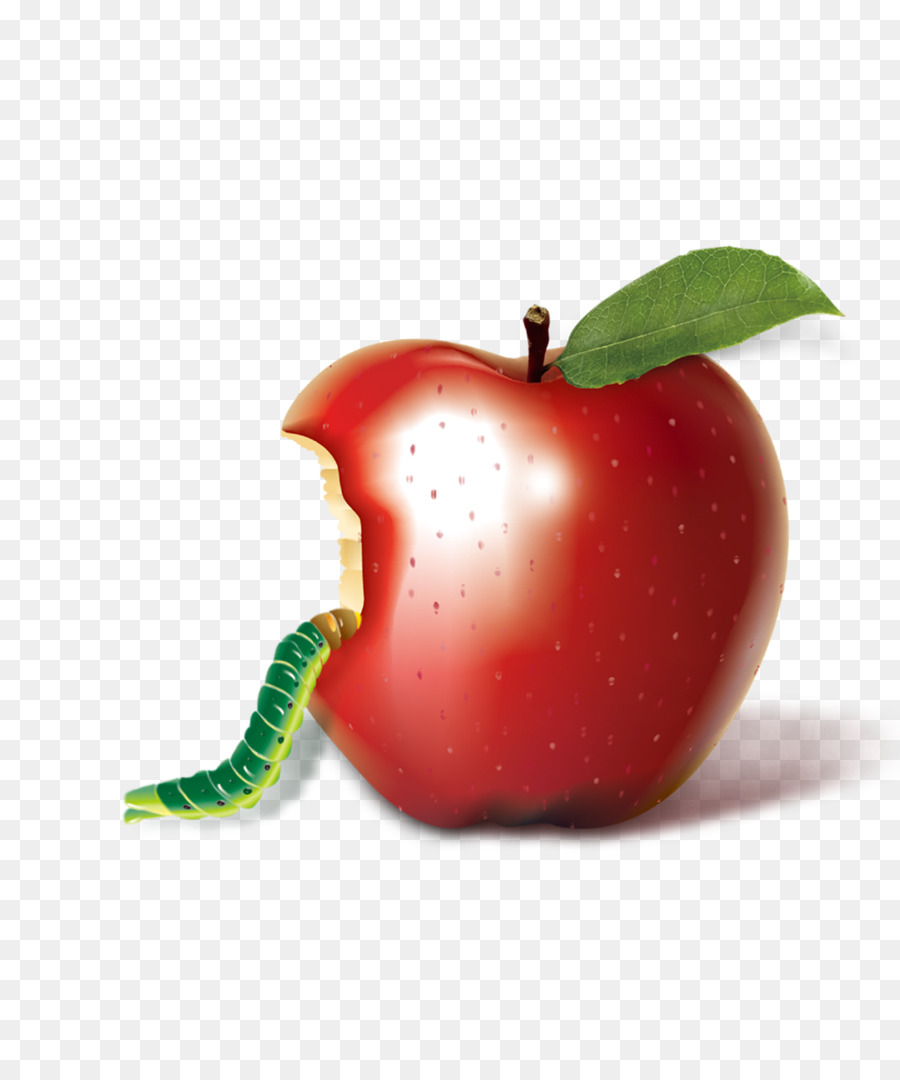 Apple，Morder PNG