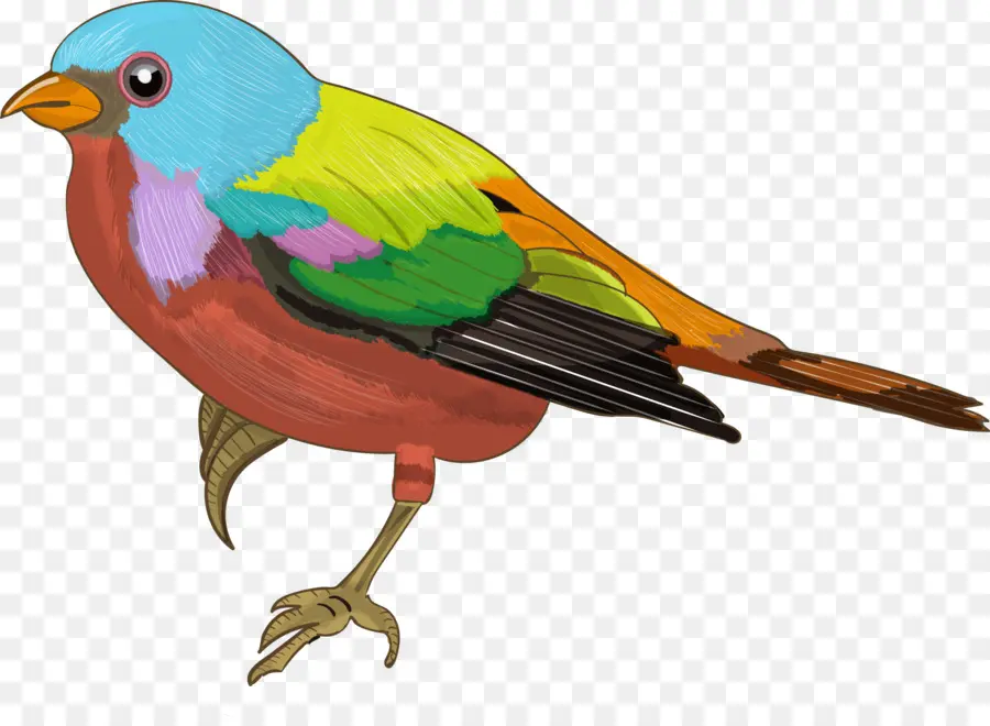 Gorrión，Pájaro PNG
