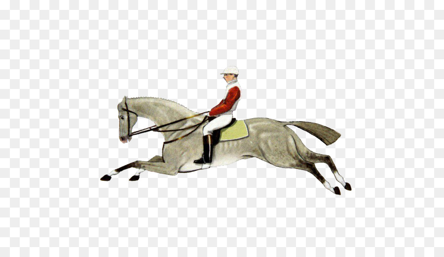 Caballo，Hipismo PNG