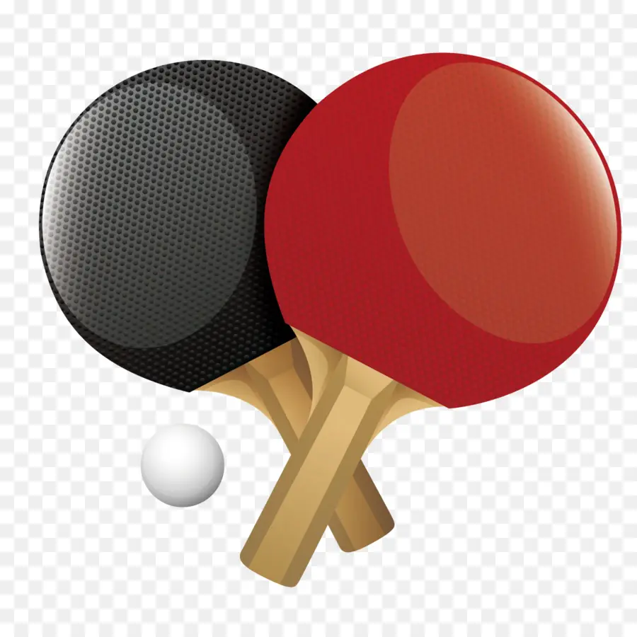 Tenis De Mesa，Raqueta De Tenis De Mesa PNG