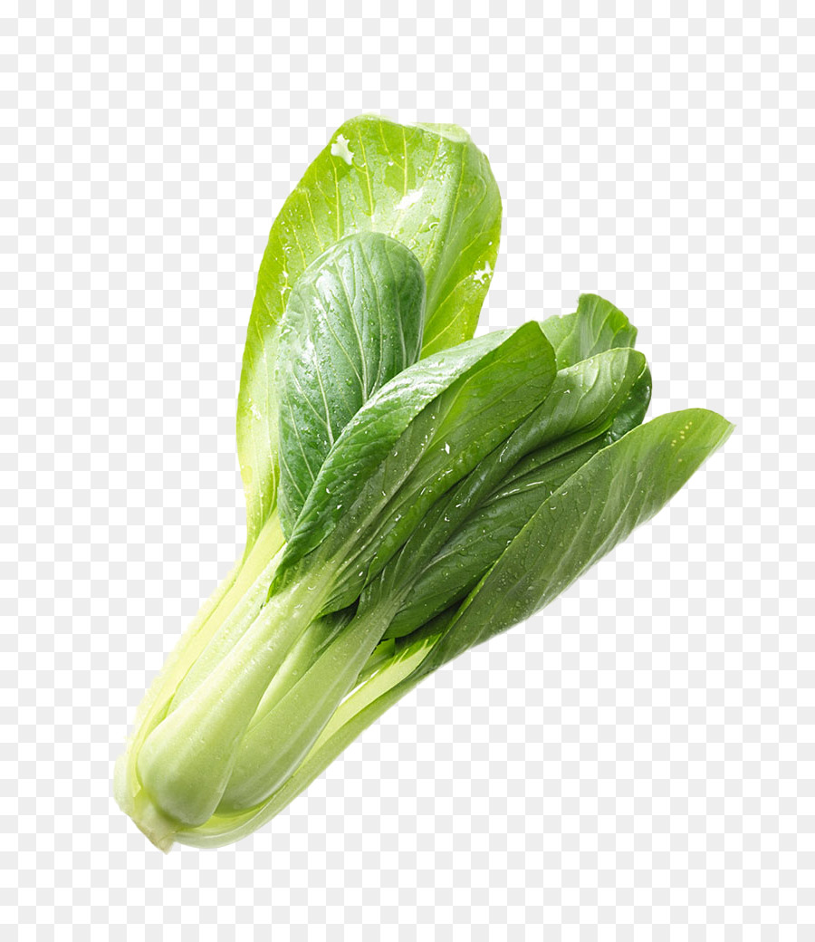 Bok Choi，Verde PNG