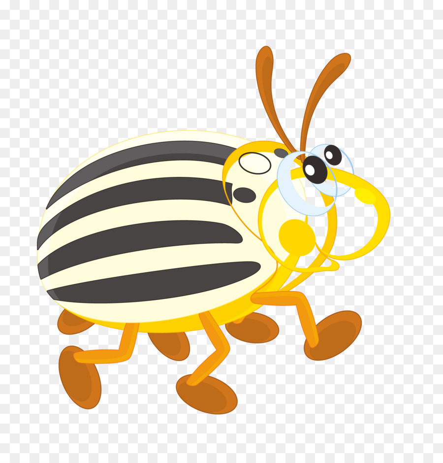 Escarabajo，Colorado Escarabajo De La Patata PNG
