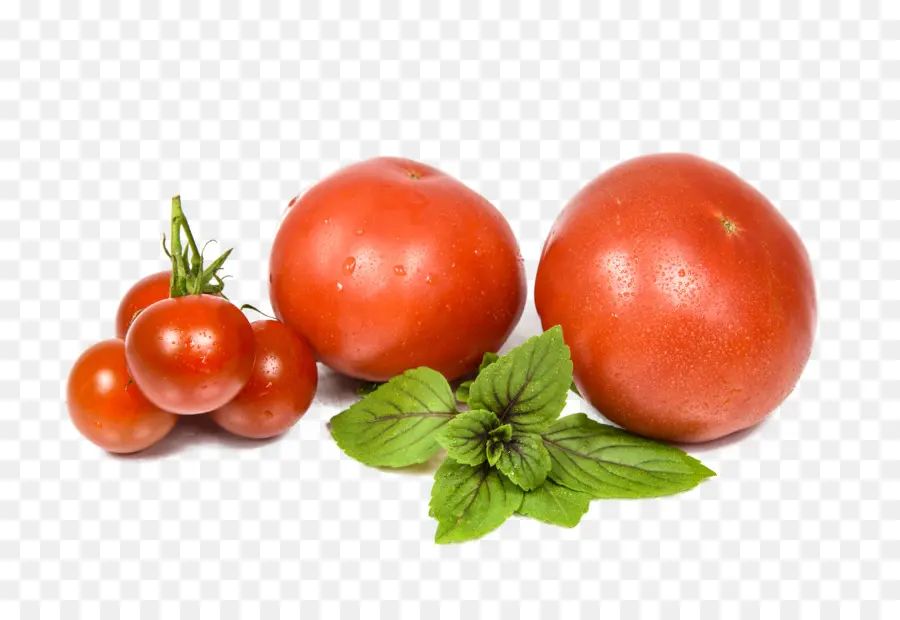 Vegetal，Tomate PNG