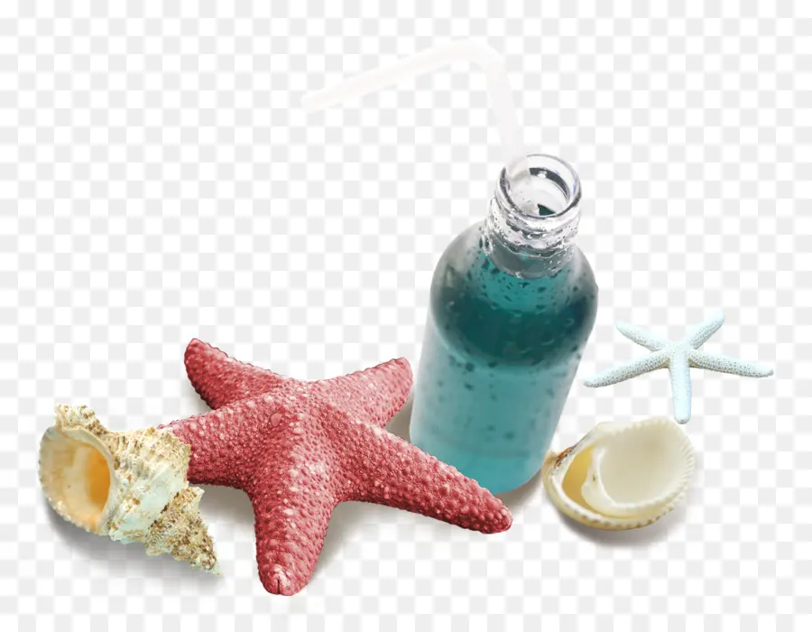 Estrella De Mar，Descargar PNG