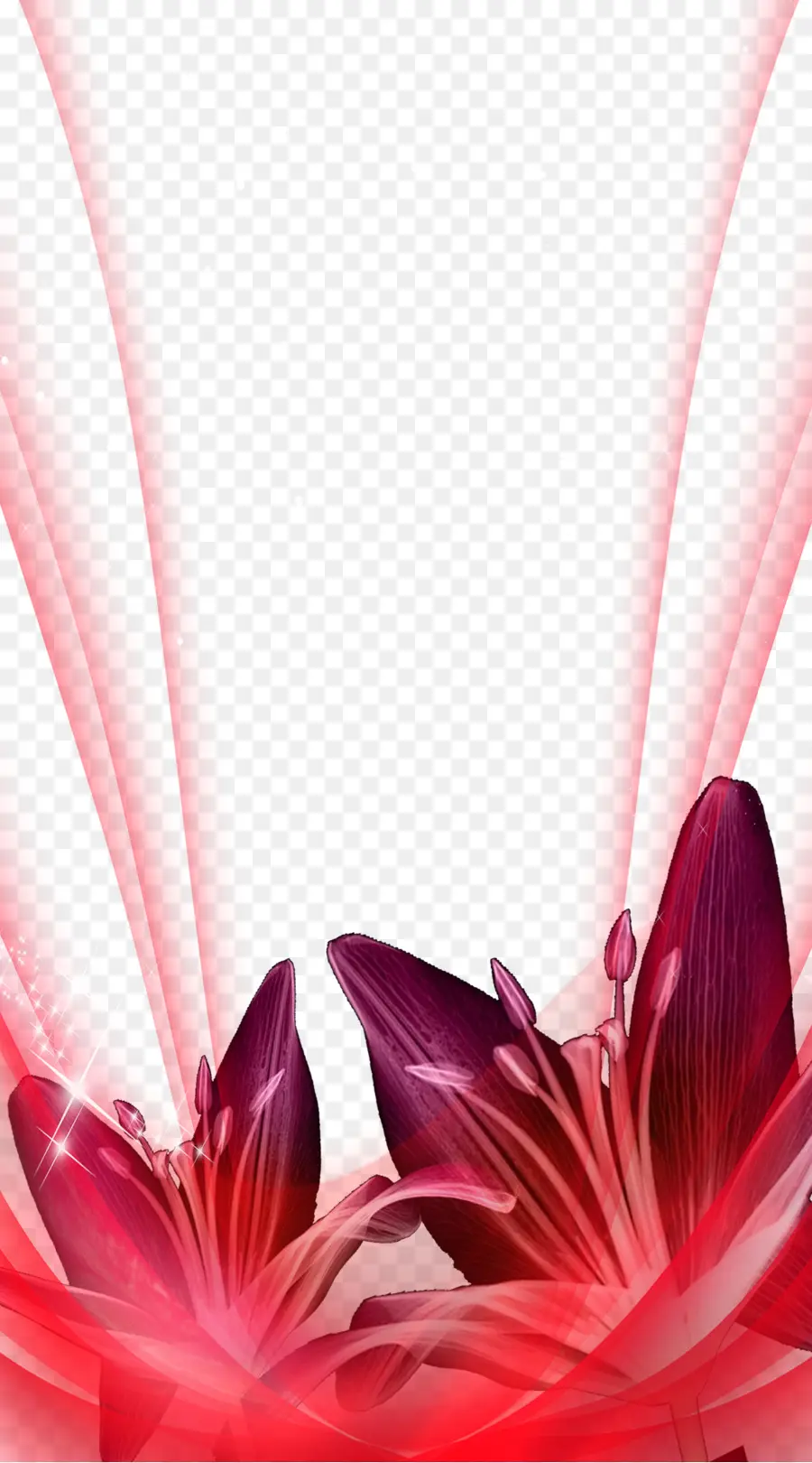 Rojo，Tulip PNG