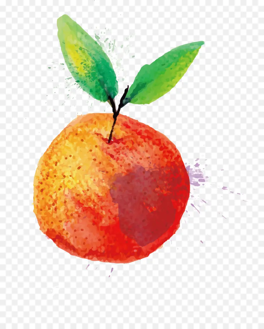 Pintura De Acuarela，Fruta PNG