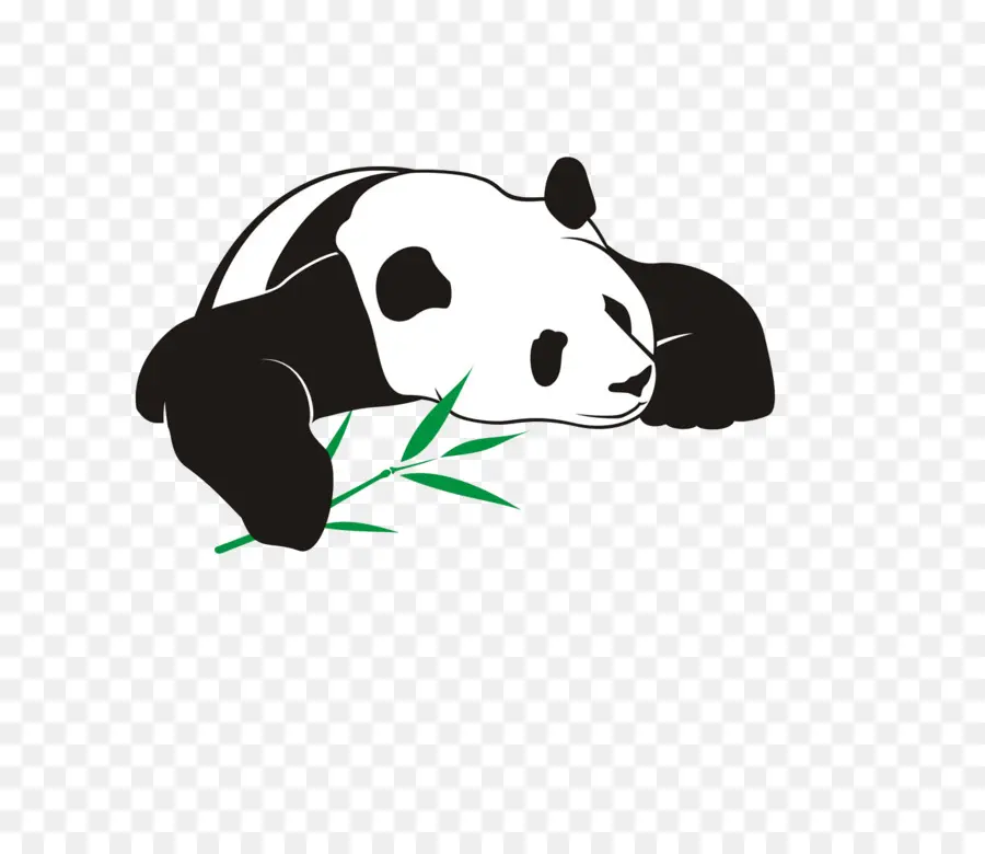 El Panda Gigante，Oso PNG