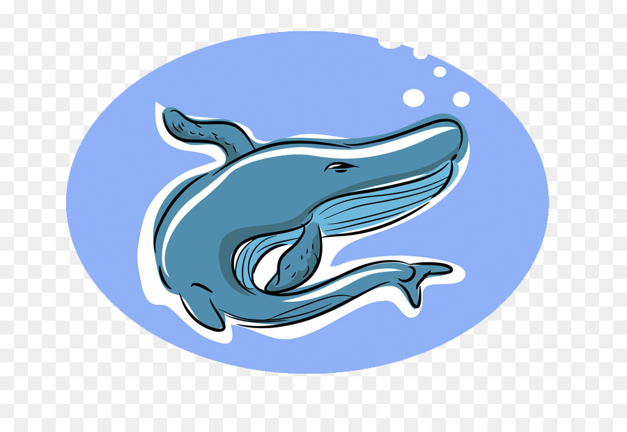 Dolphin，Tiburón PNG