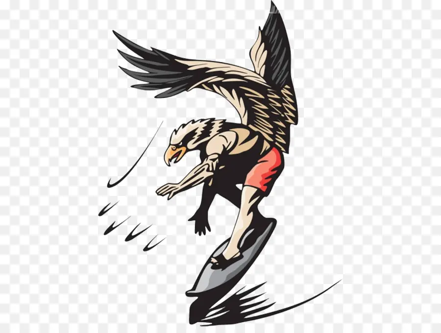 águila，águila Calva PNG