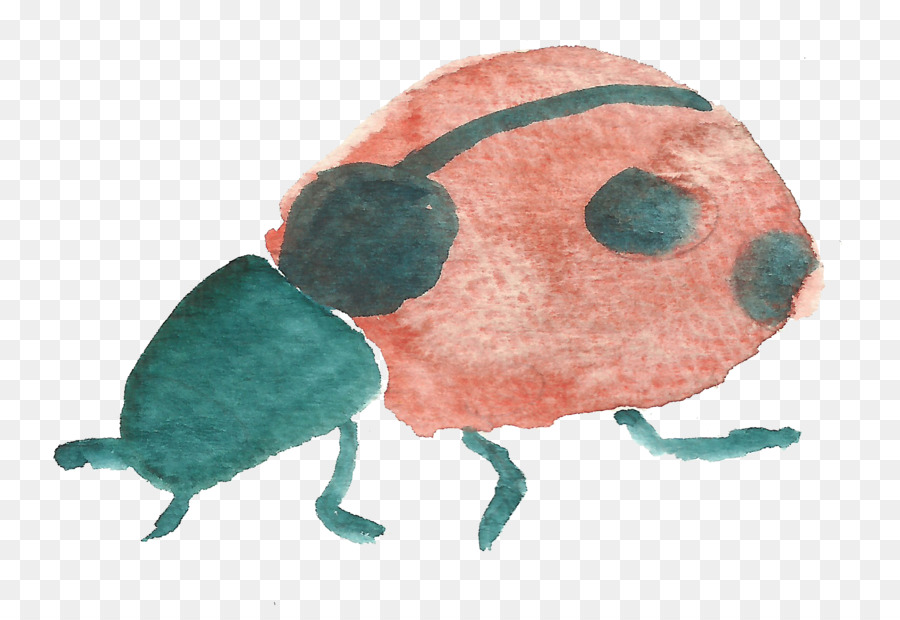 Escarabajo，Mariquita PNG