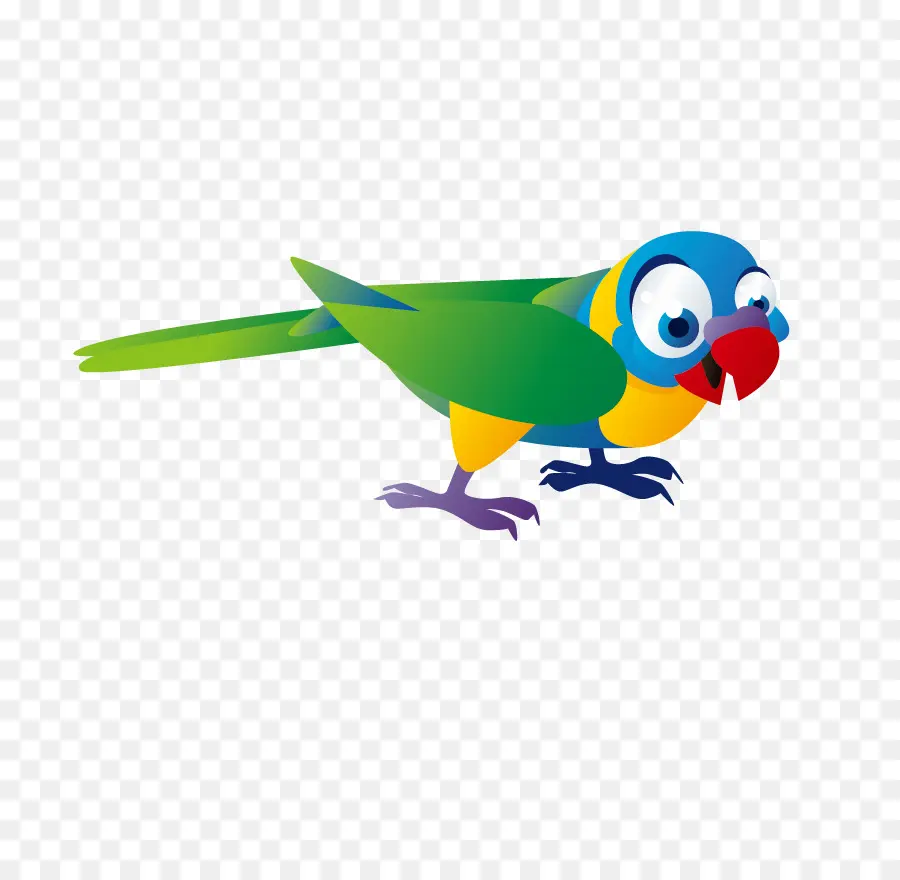 Loro Colorido，Pájaro PNG